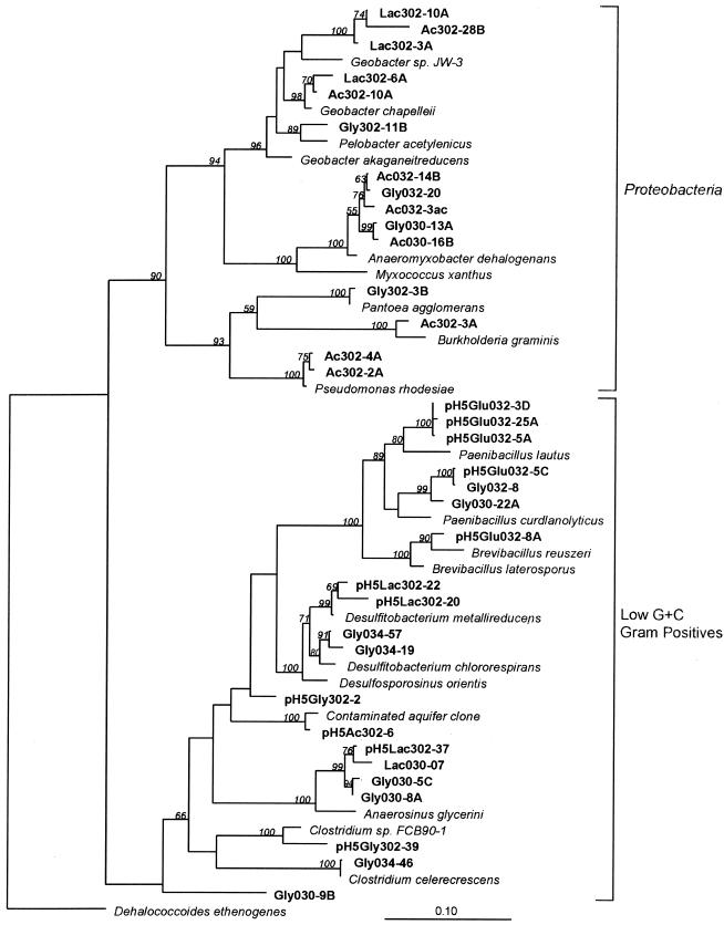 FIG. 5.