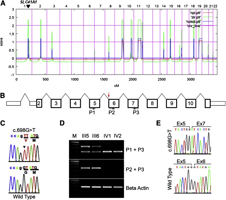 Figure 2.