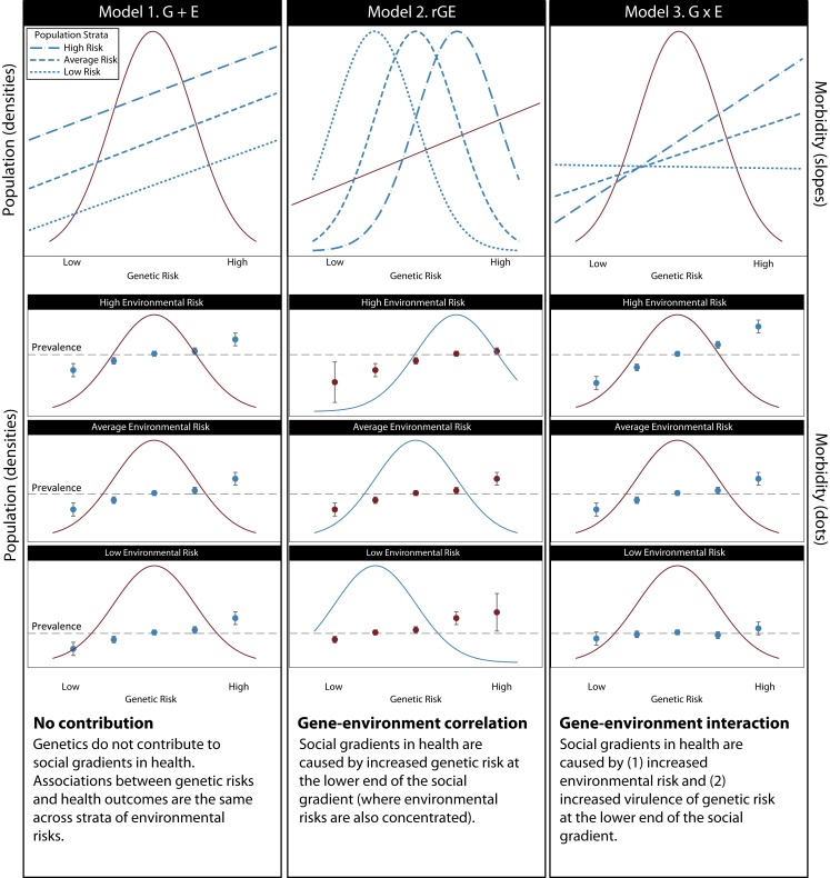 FIGURE 2—