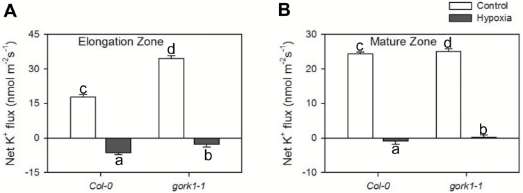 Fig. 8.