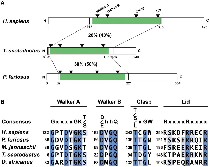 Fig. 4.