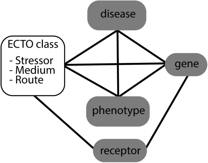 Figure 2 is a flow diagram having three steps. Step 1: Environmental Conditions, Treatments, and Exposures Ontology, including stressor, medium, and route; disease; gene; and phenotype are interconnected with each other. Step 2: Environmental Conditions, Treatments, and Exposures Ontology, including stressor, medium, and route is connected to receptor. Step 3: Receptor is connected to gene.