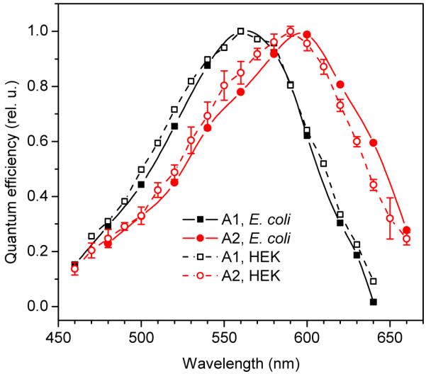 FIGURE 3