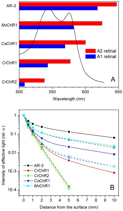 FIGURE 9