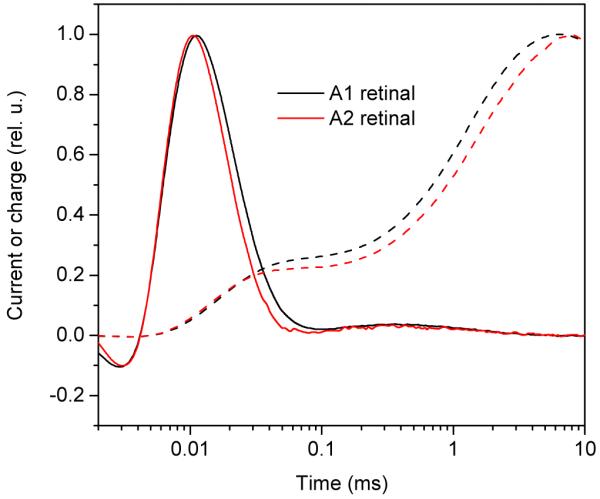 FIGURE 2