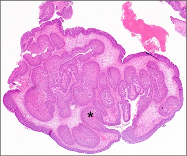 Figure 3: