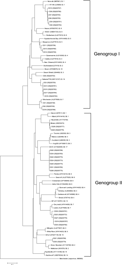 FIG. 1.