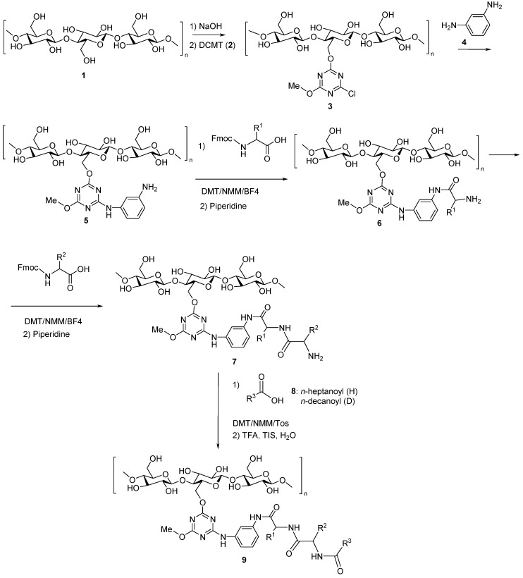 Scheme 1