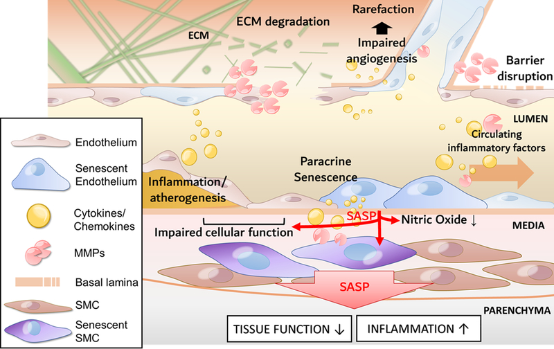 Figure 4: