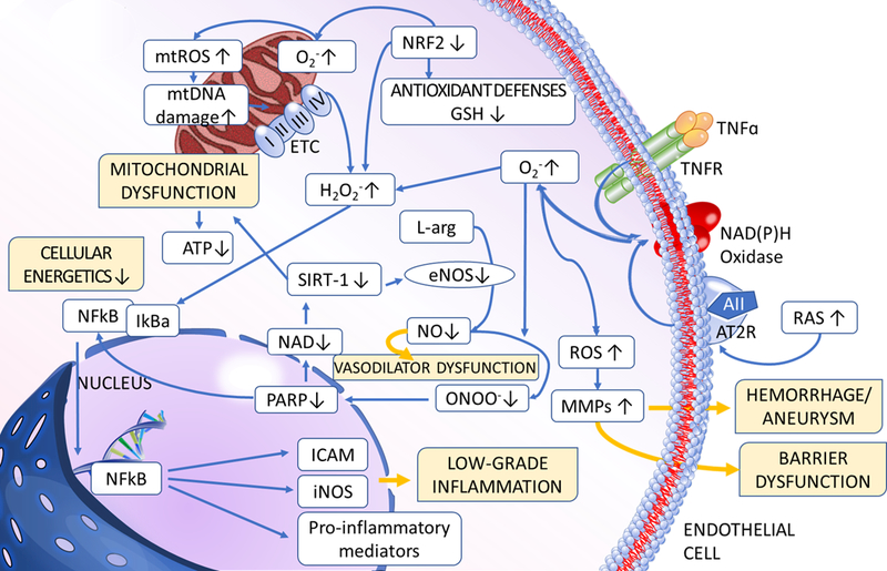 Figure 3: