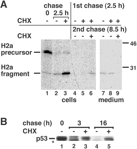 Fig 2.