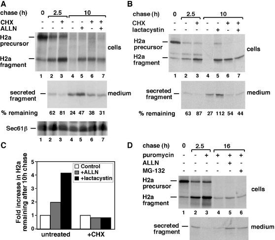 Fig 3.