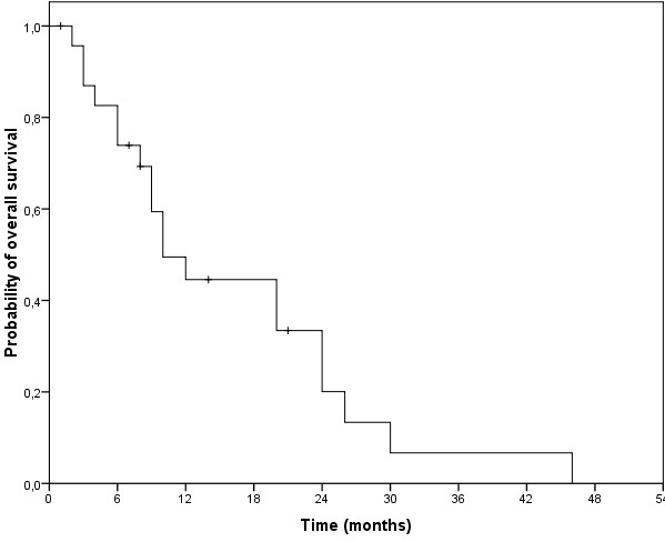 Figure 4 