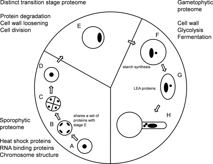 Fig. 9.