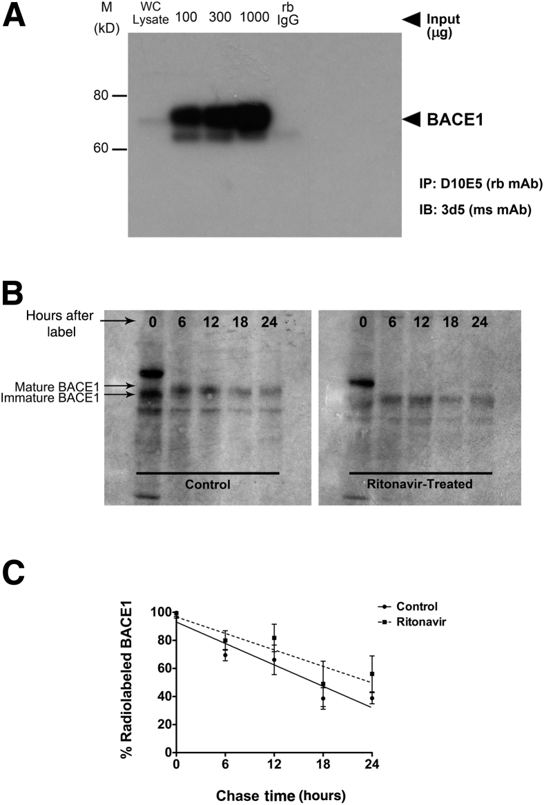 Figure 7