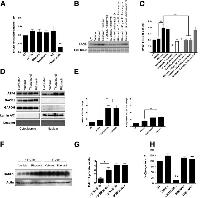 Figure 6