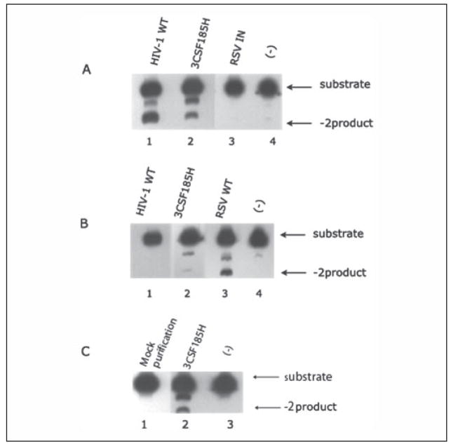 FIGURE 3