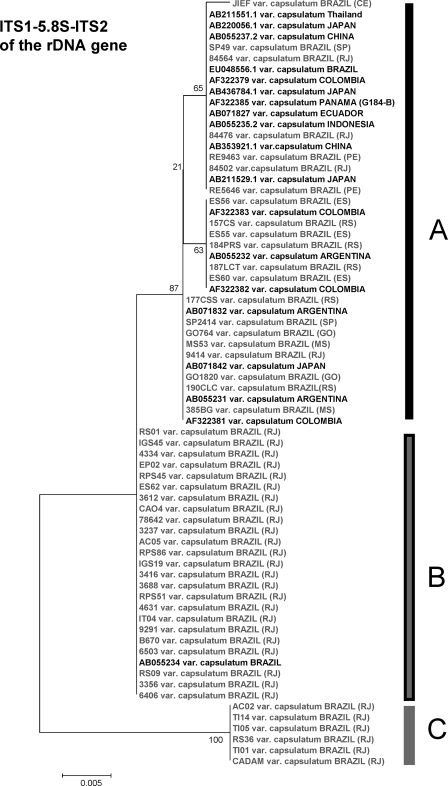 FIG. 3.