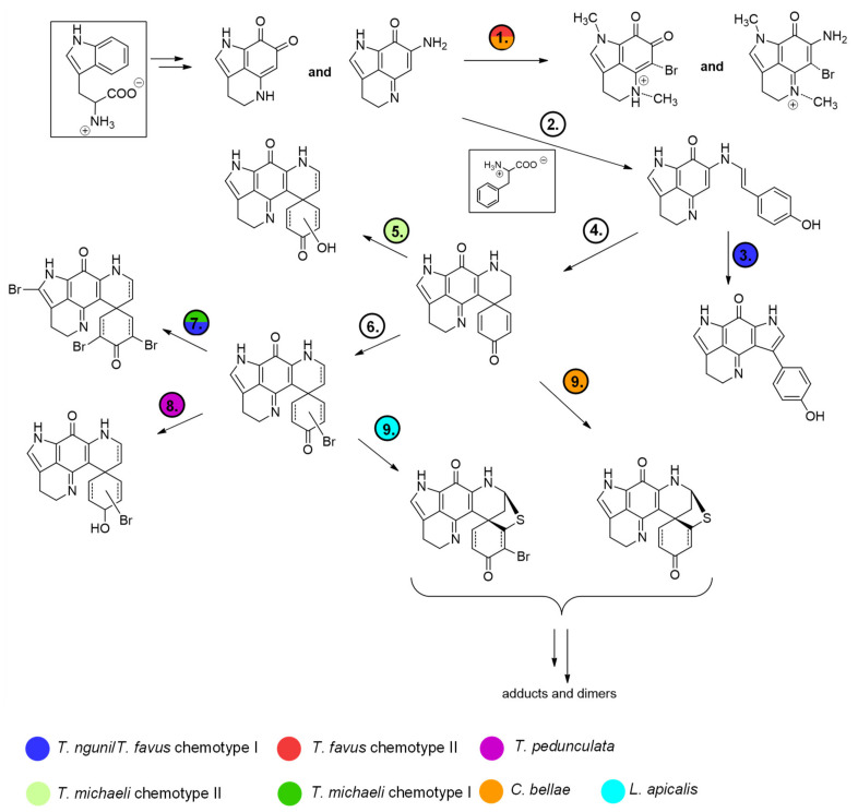 Figure 13