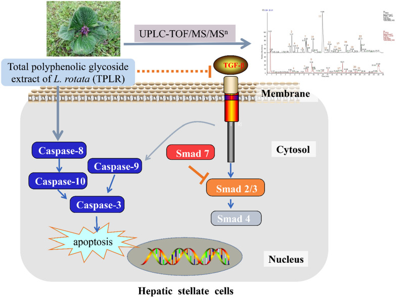 graphic file with name 13020_2023_723_Figa_HTML.jpg