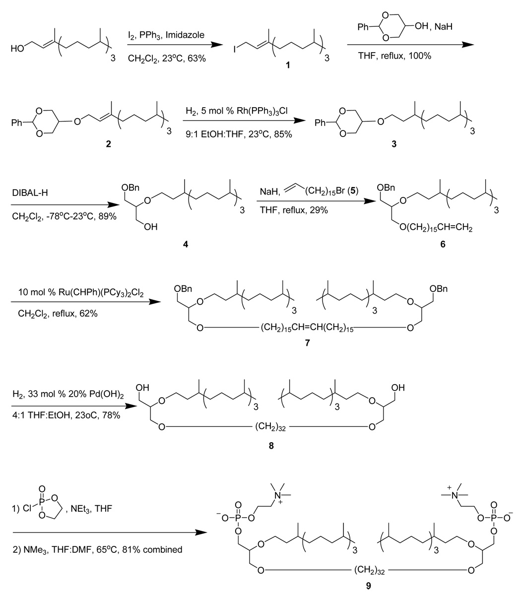 Scheme 2