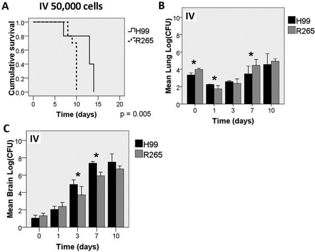 FIG 2 