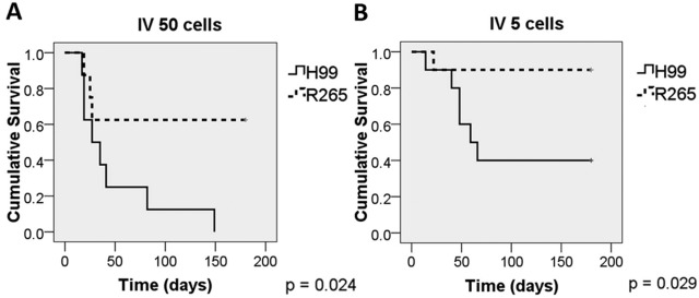 FIG 3 