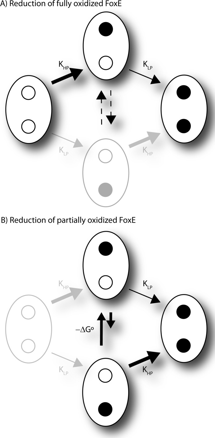 FIGURE 8.