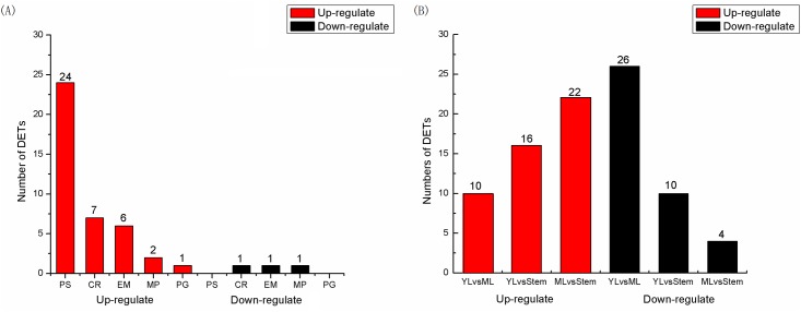 Fig 7