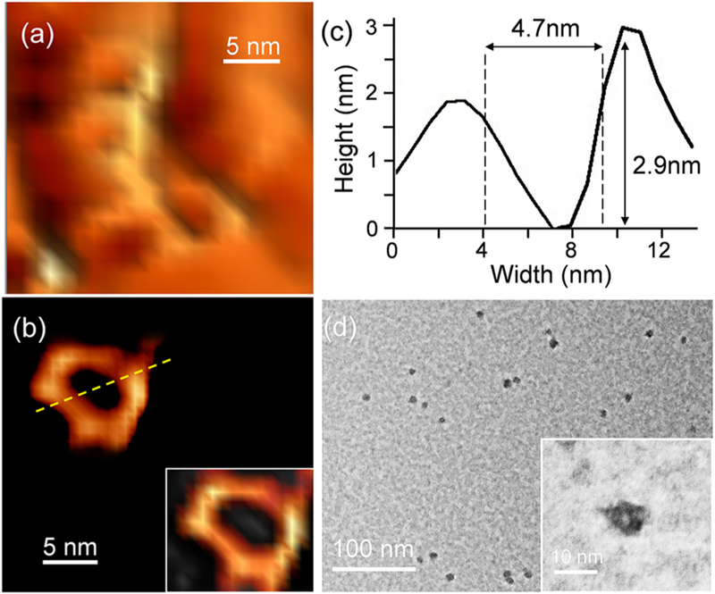 Figure 4.