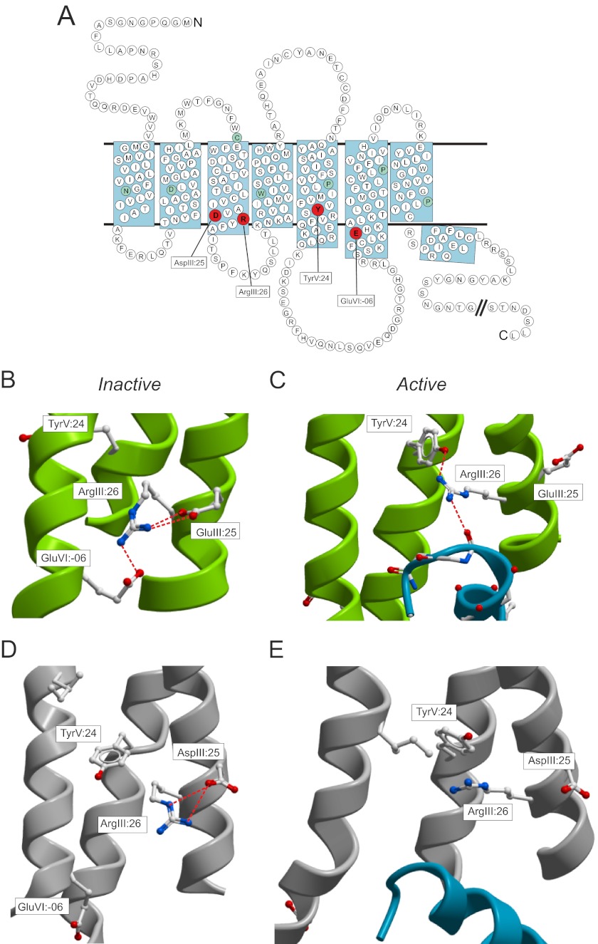 FIGURE 1.