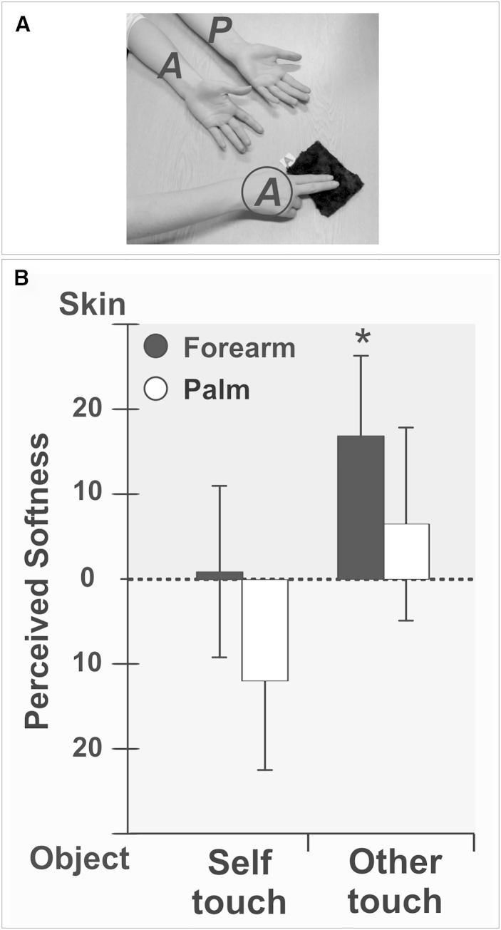 Figure 3