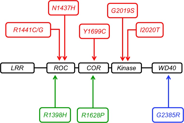 Fig. 1