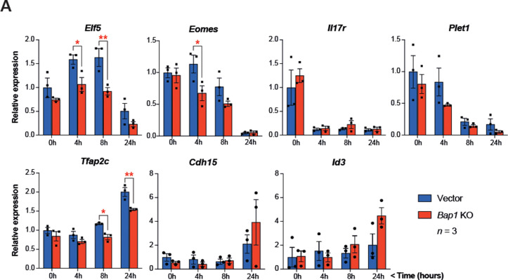 Figure 2—figure supplement 1.