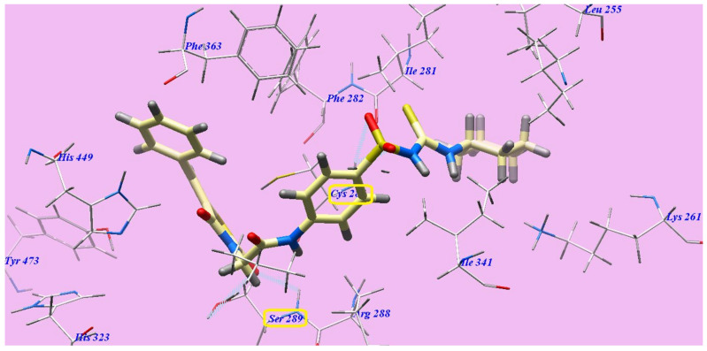 Figure 11