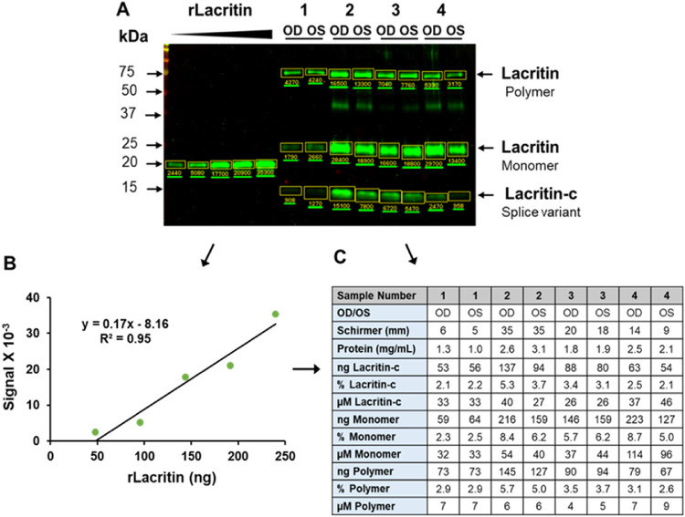 Figure 6.