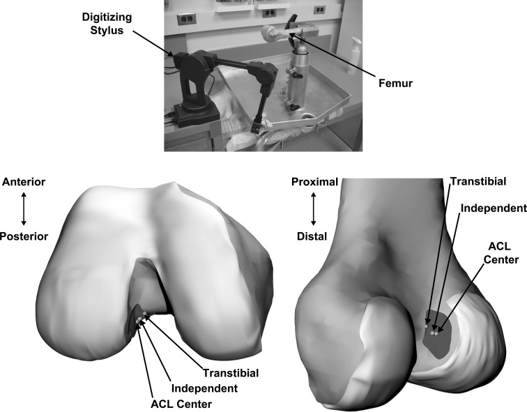 Fig. 2