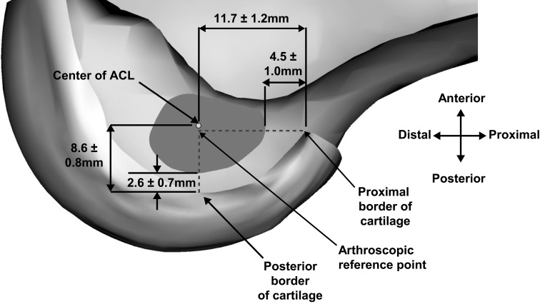 Fig. 3