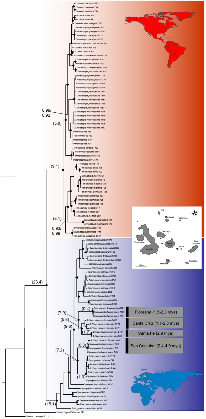 Fig 1