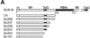 FIG. 1.