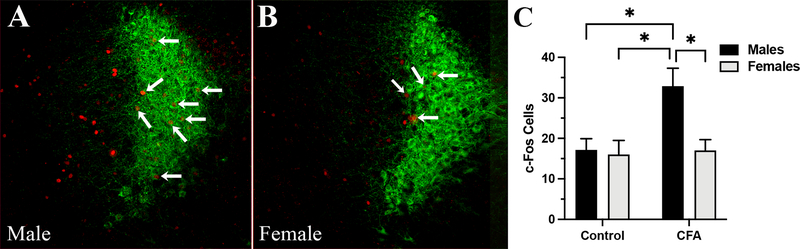 Figure 3: