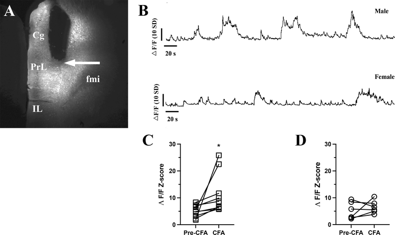 Figure 2: