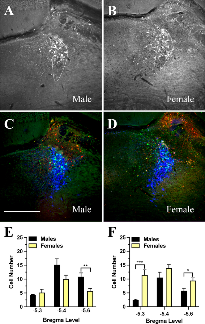 Figure 7: