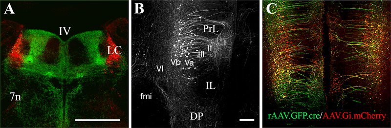 Figure 4.