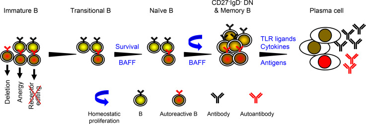 Figure 9