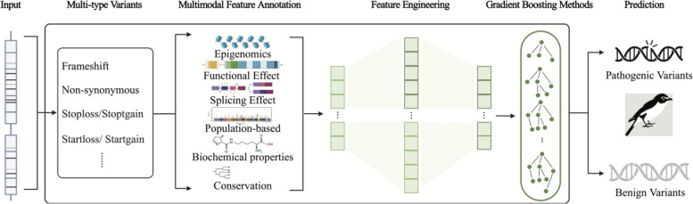 Fig. 1