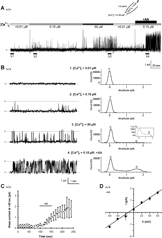 Fig. 6.