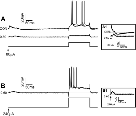 Fig. 8.