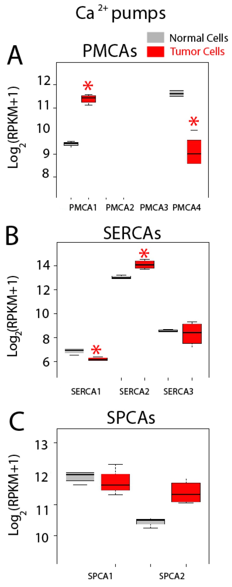 Figure 11