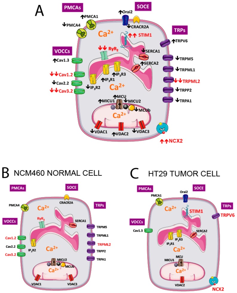 Figure 15